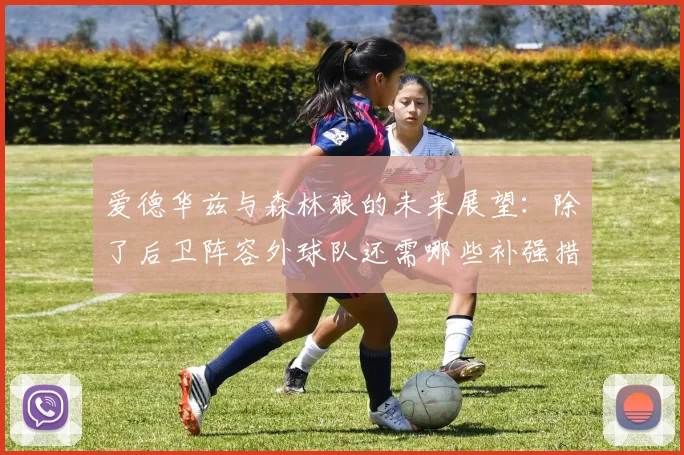 爱德华兹与森林狼的未来展望：除了后卫阵容外球队还需哪些补强措施