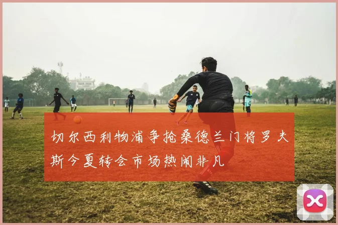 切尔西利物浦争抢桑德兰门将罗夫斯今夏转会市场热闹非凡